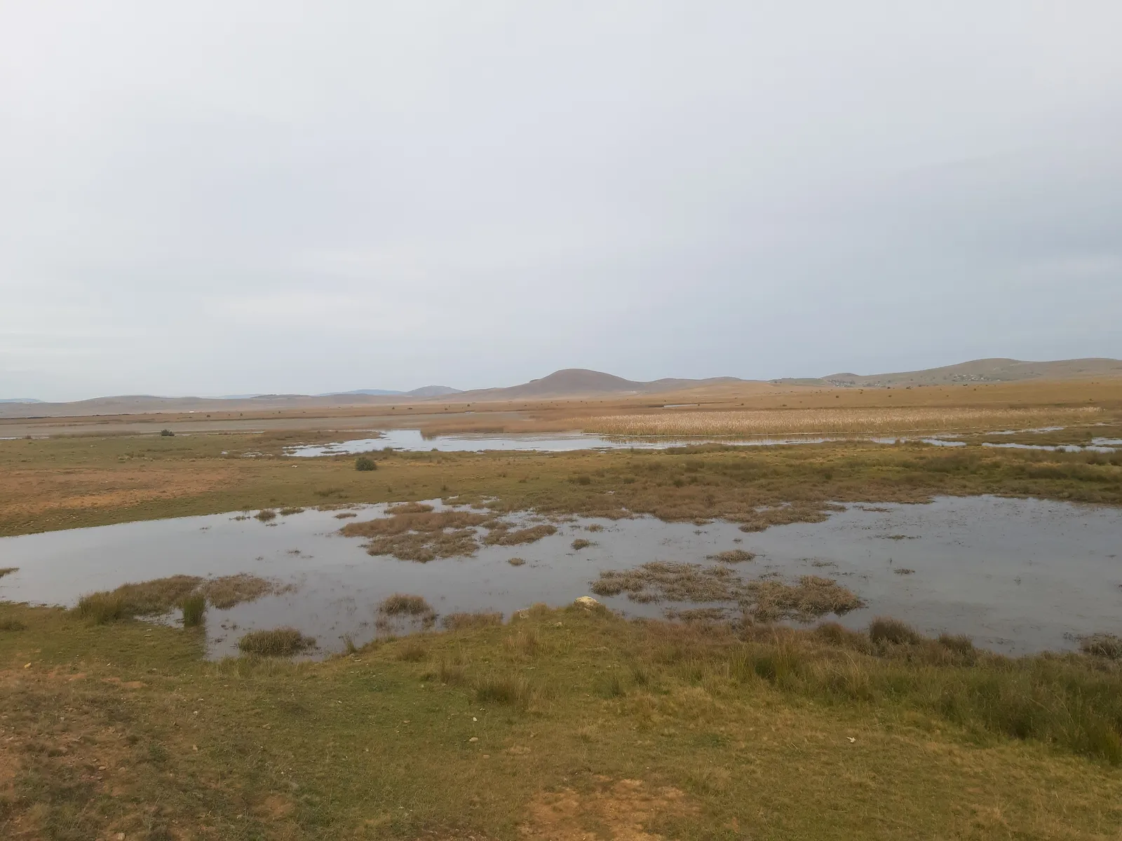 Pešter Plateau, Novi Pazar