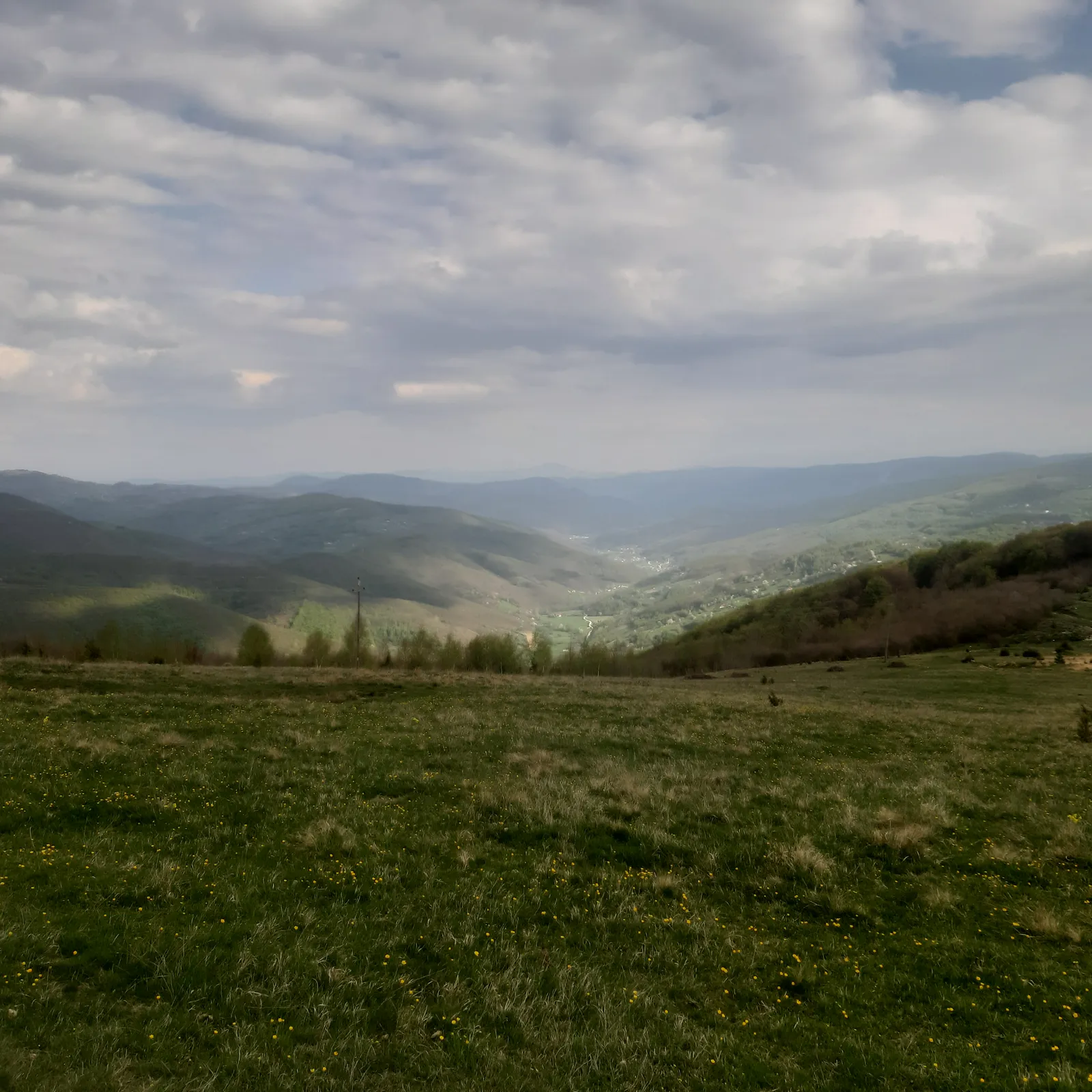 Golija and the forests