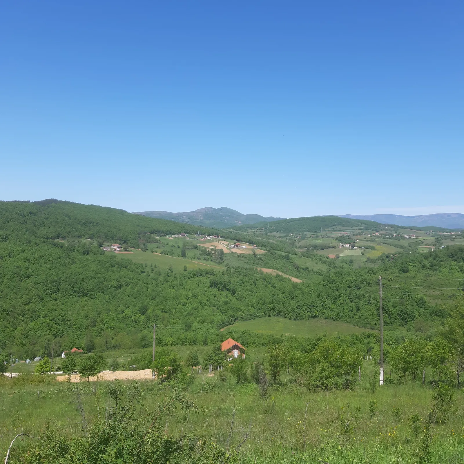Mountain forest on Golija