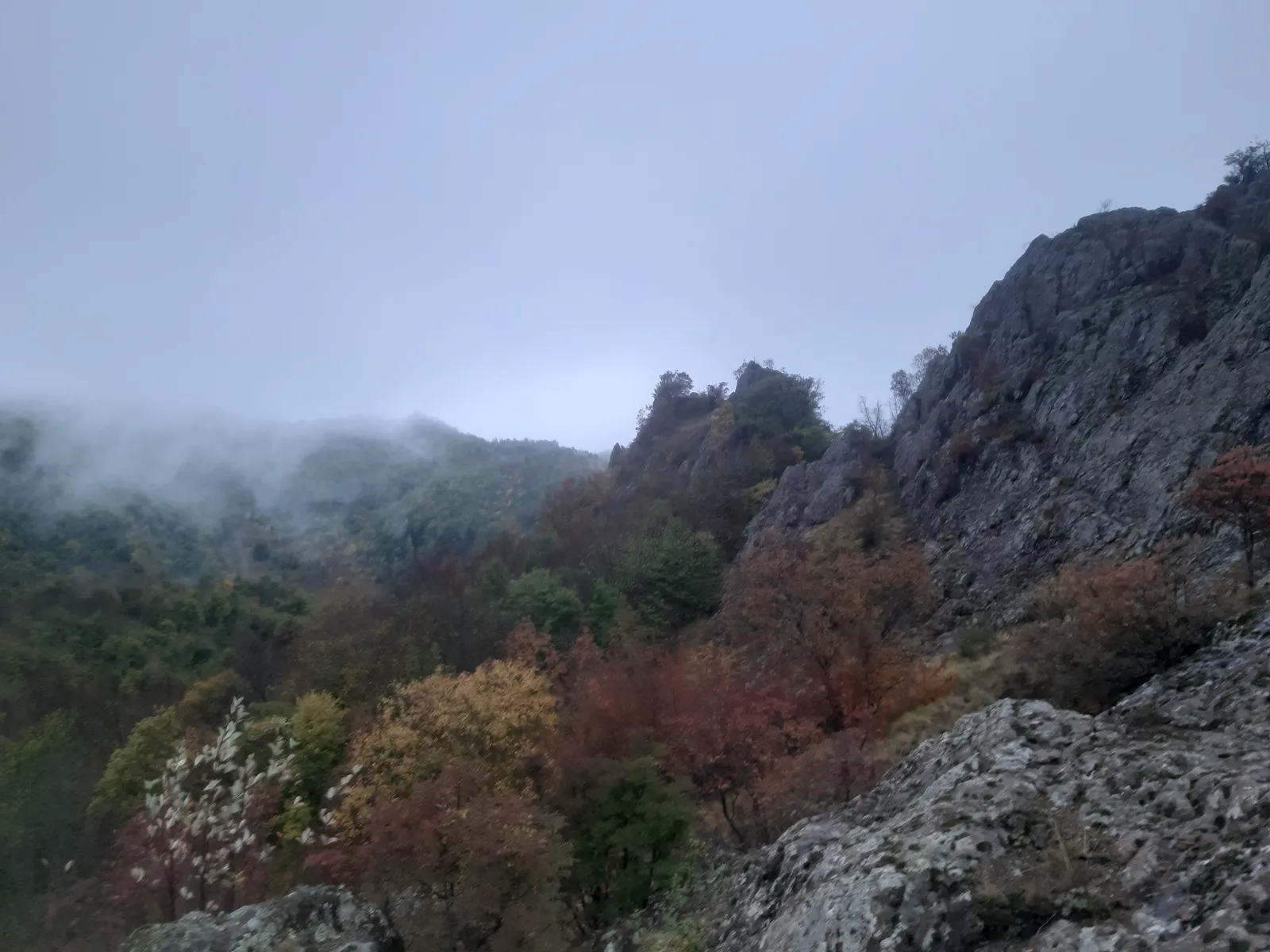 Highland nature