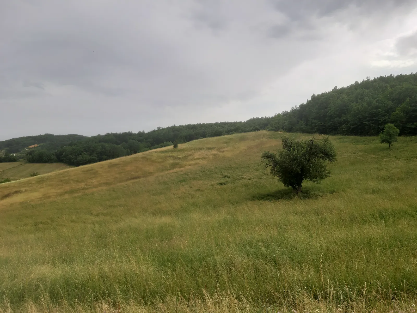 Mountain wilderness