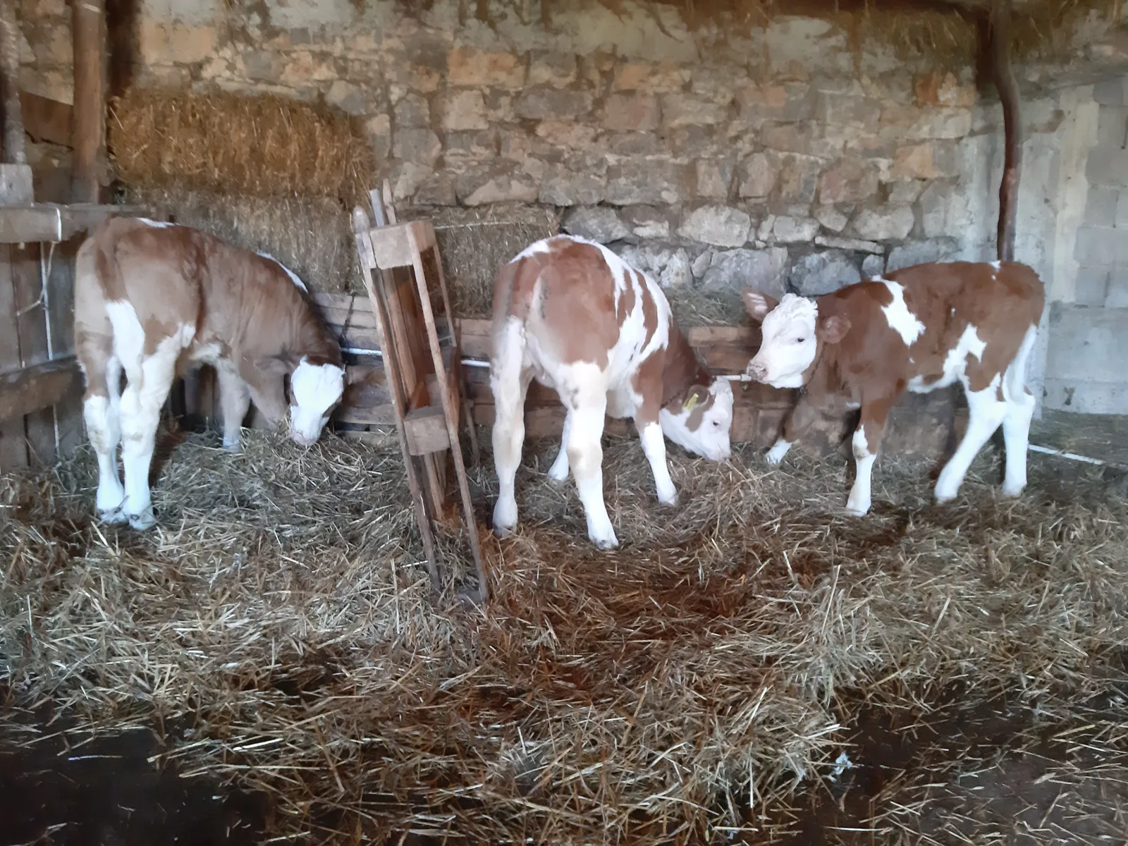 Rural Sandžak