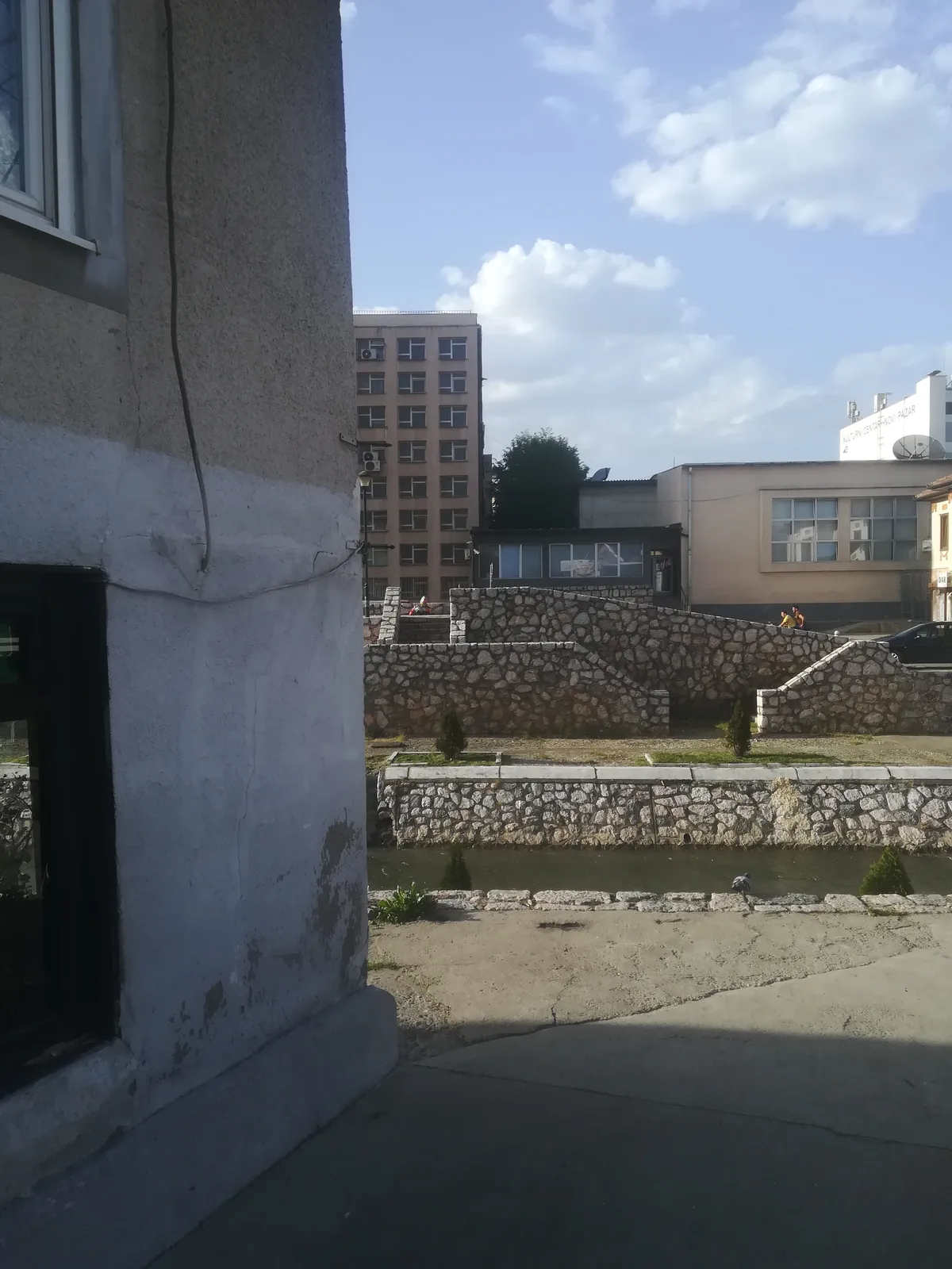 A modernist backyard